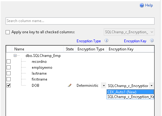 Configure Always Encrypted on existing table with data Always Encrypted step 5